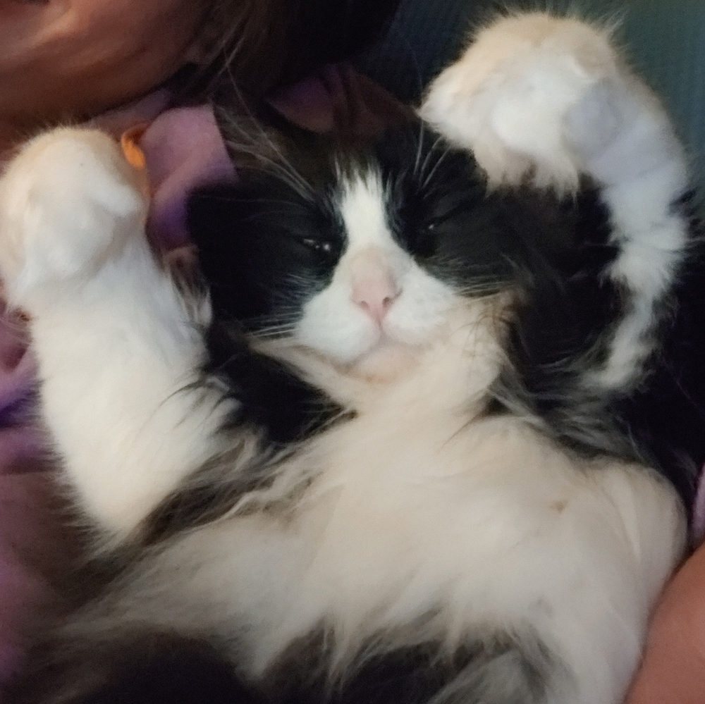 Wachuchu wants a hug💖💖💖💖